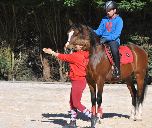 clases-caballo